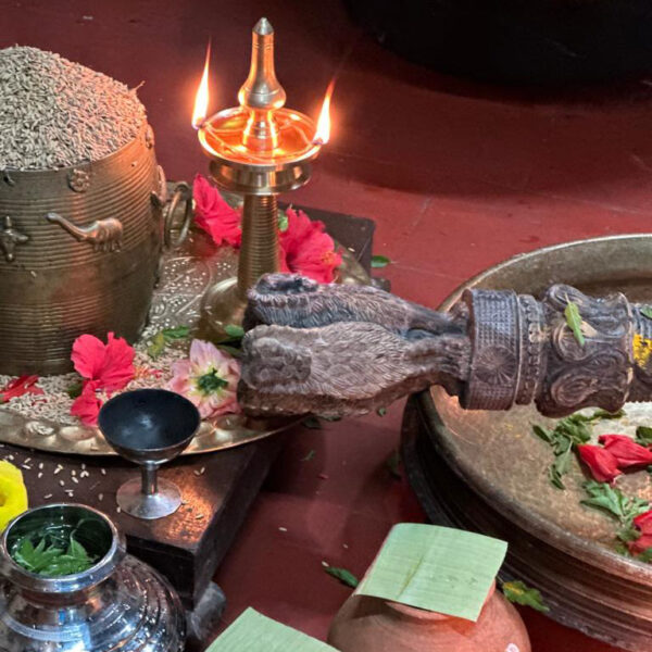 AyurDetox-what-it-is2